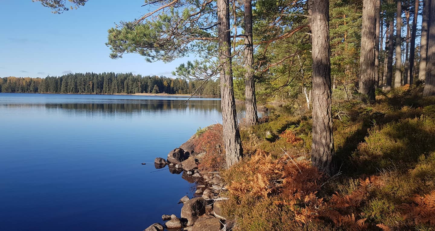 Experience Nature - Upplev Naturen - Medveten Insikt